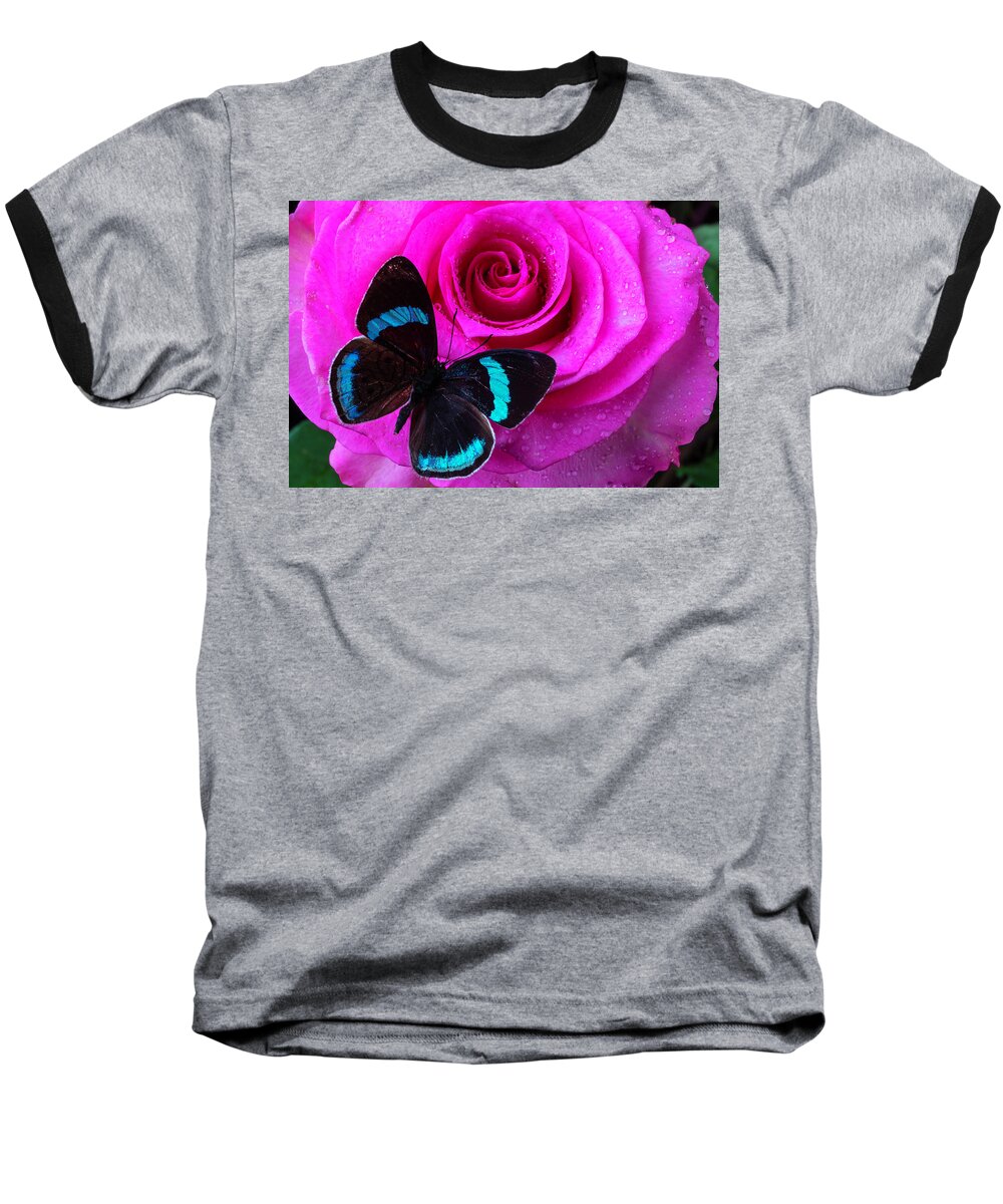 Rose Baseball T-Shirt featuring the photograph Pink Rose And Black Blue Butterfly by Garry Gay
