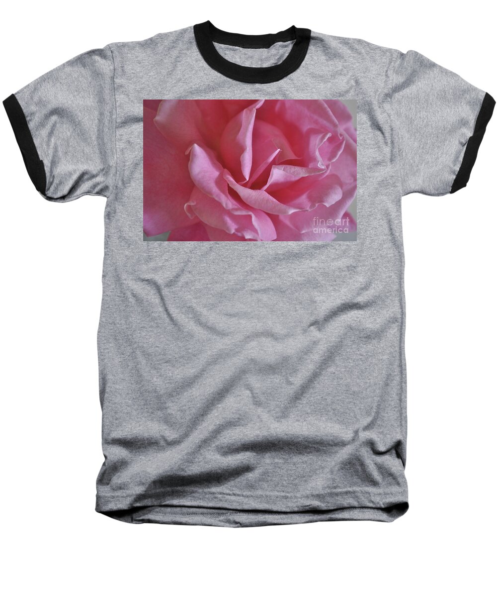 Pink Baseball T-Shirt featuring the photograph Pink Rose by Bridgette Gomes