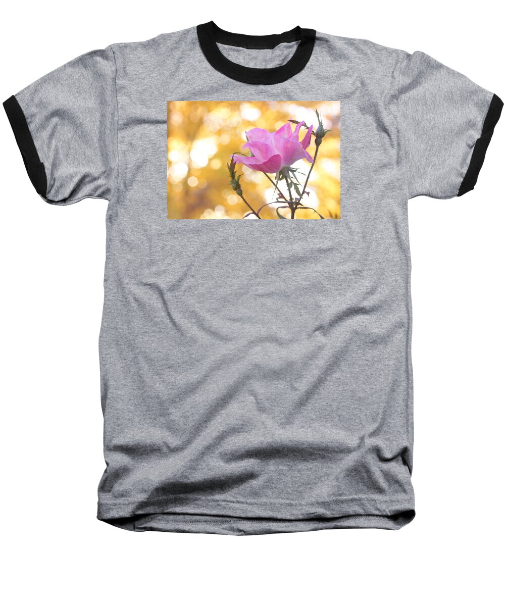 Flowers Baseball T-Shirt featuring the photograph Pink Rose in the Light of Fall by Trina Ansel