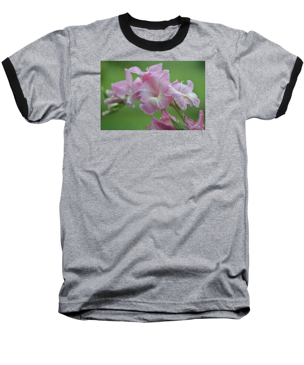 Floral Baseball T-Shirt featuring the photograph Pink by Teresa Tilley