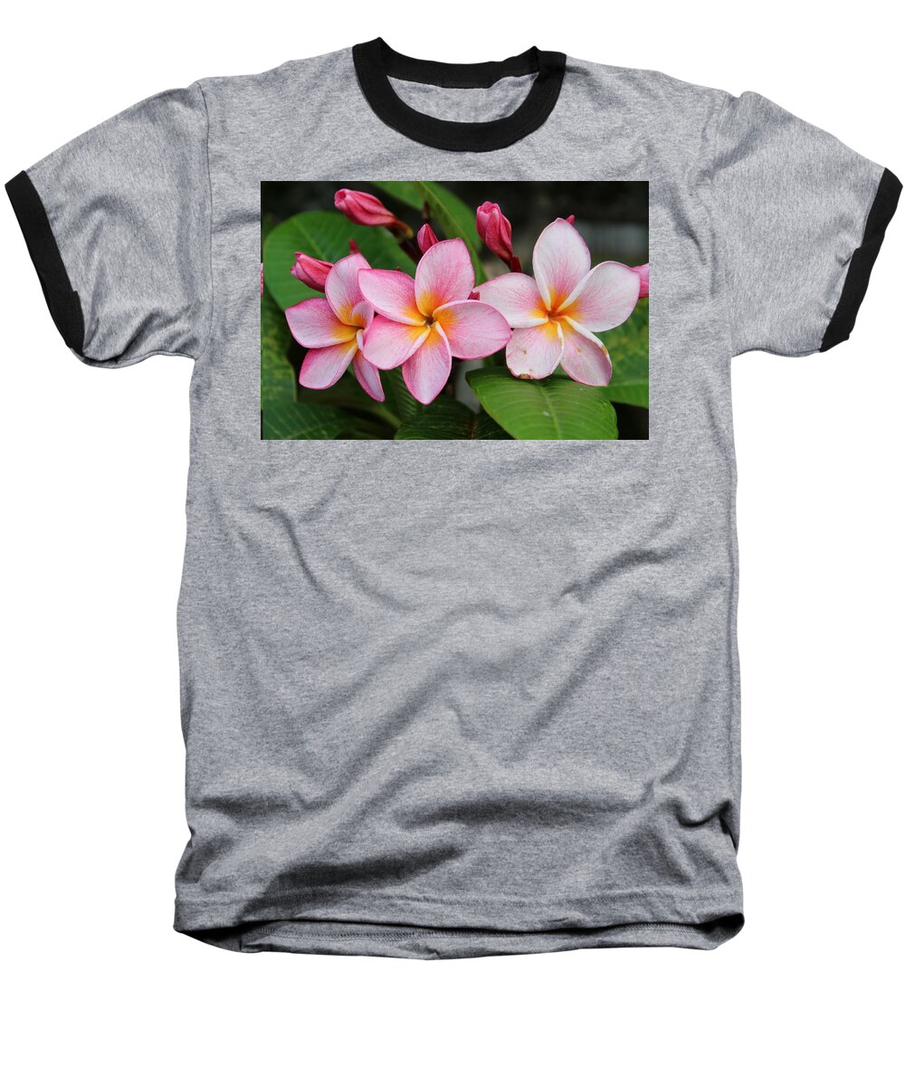 Vietnam Baseball T-Shirt featuring the photograph Pink Trio by Samantha Delory