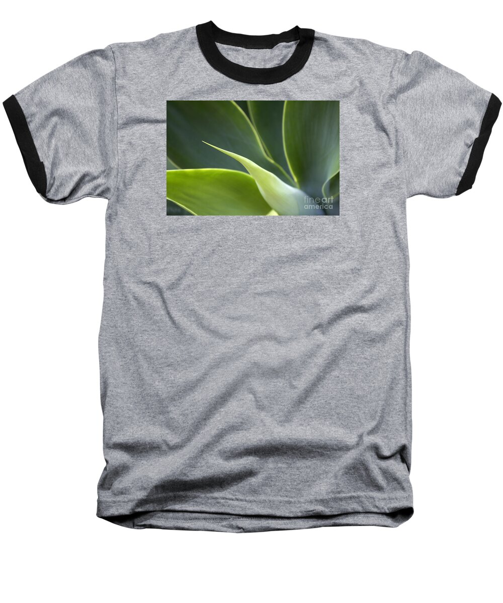 Leaf Baseball T-Shirt featuring the photograph Plant Abstract by Tony Cordoza