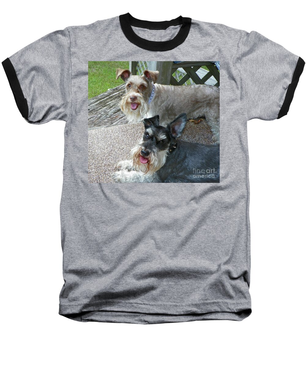 Pet Baseball T-Shirt featuring the photograph Please Help Us Catch That Squirrel by Carol Bradley