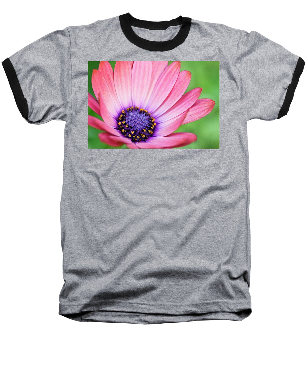 Flower Baseball T-Shirt featuring the photograph Pleasing Petals by Morgan Wright
