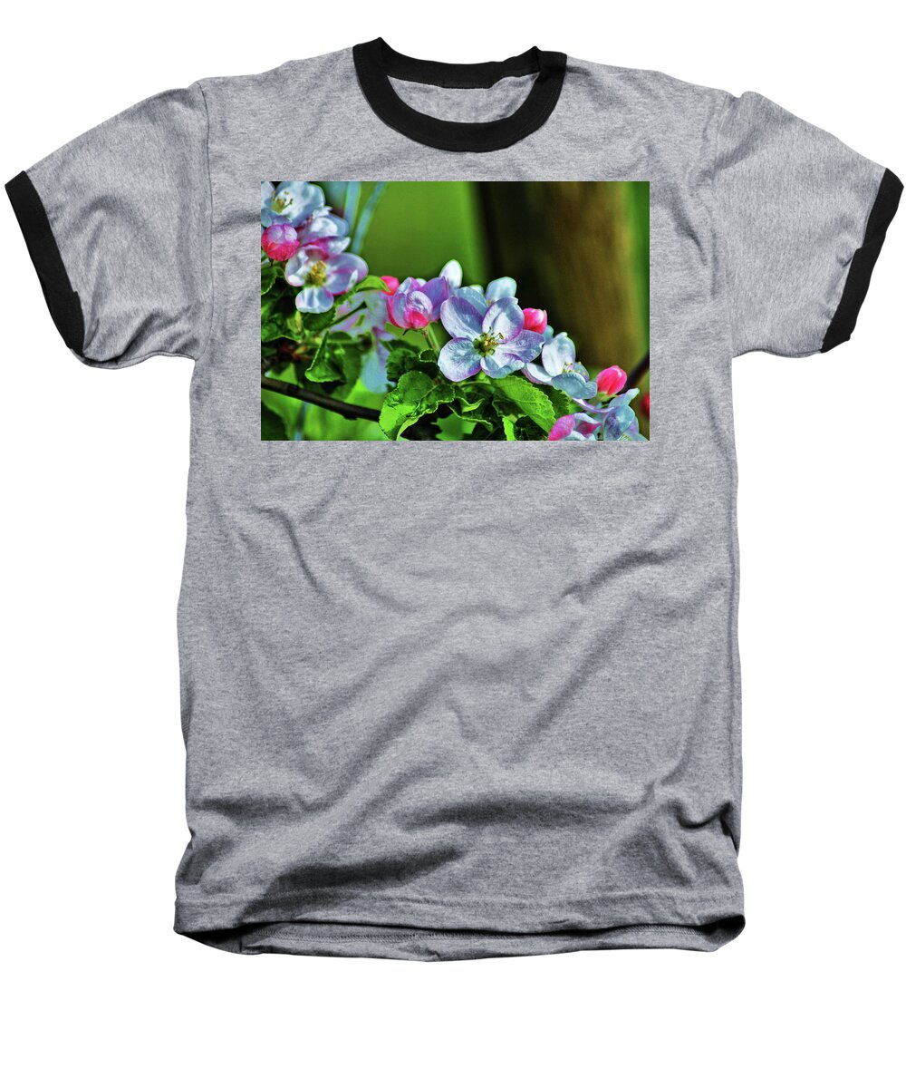Fruit Baseball T-Shirt featuring the photograph Plum Blossoms by Daniel Koglin