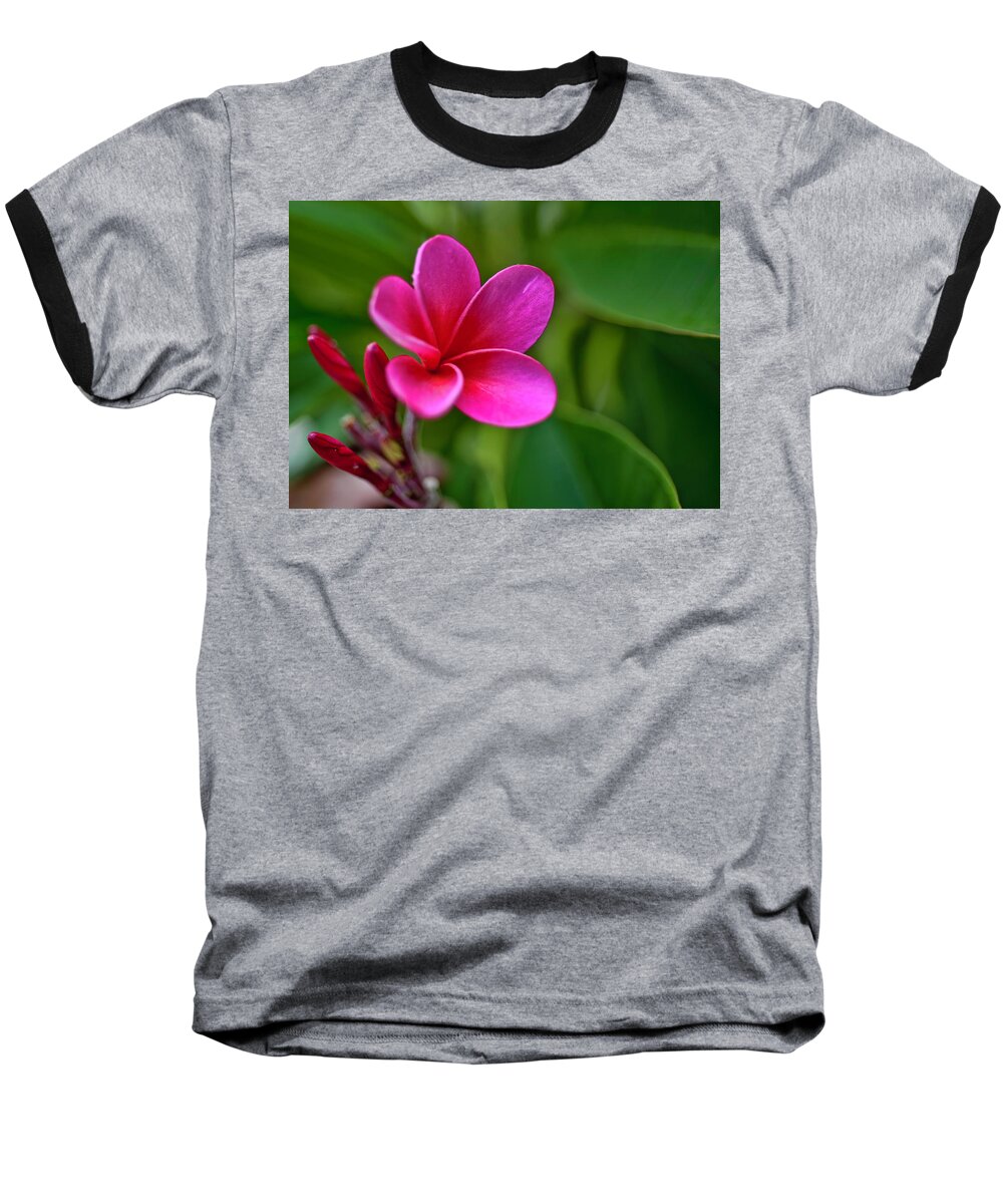 Hawaii Baseball T-Shirt featuring the photograph Plumeria - Royal Hawaiian by Dan McManus