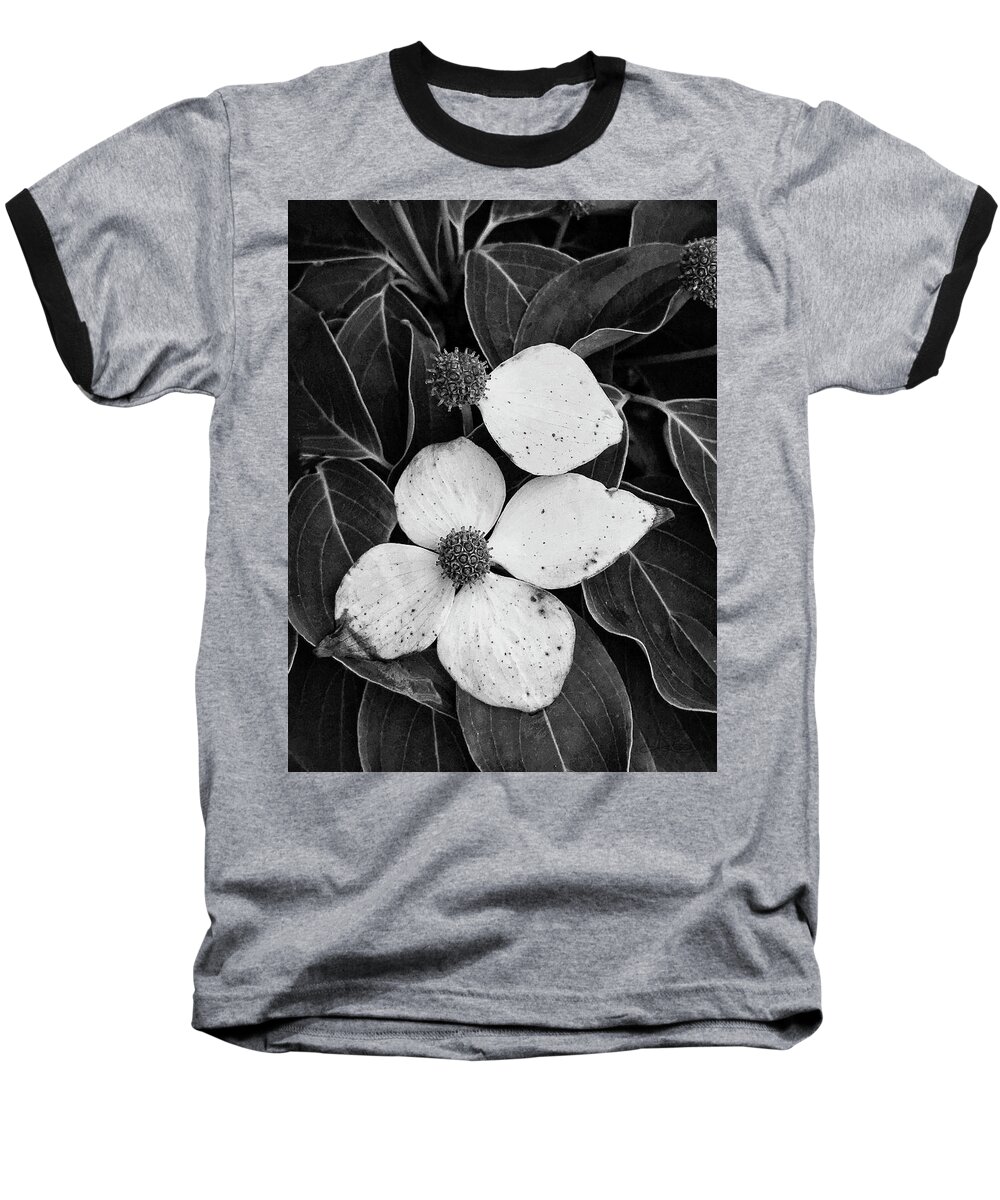 Dogwood Baseball T-Shirt featuring the photograph Poetic Symmetry by Jill Love