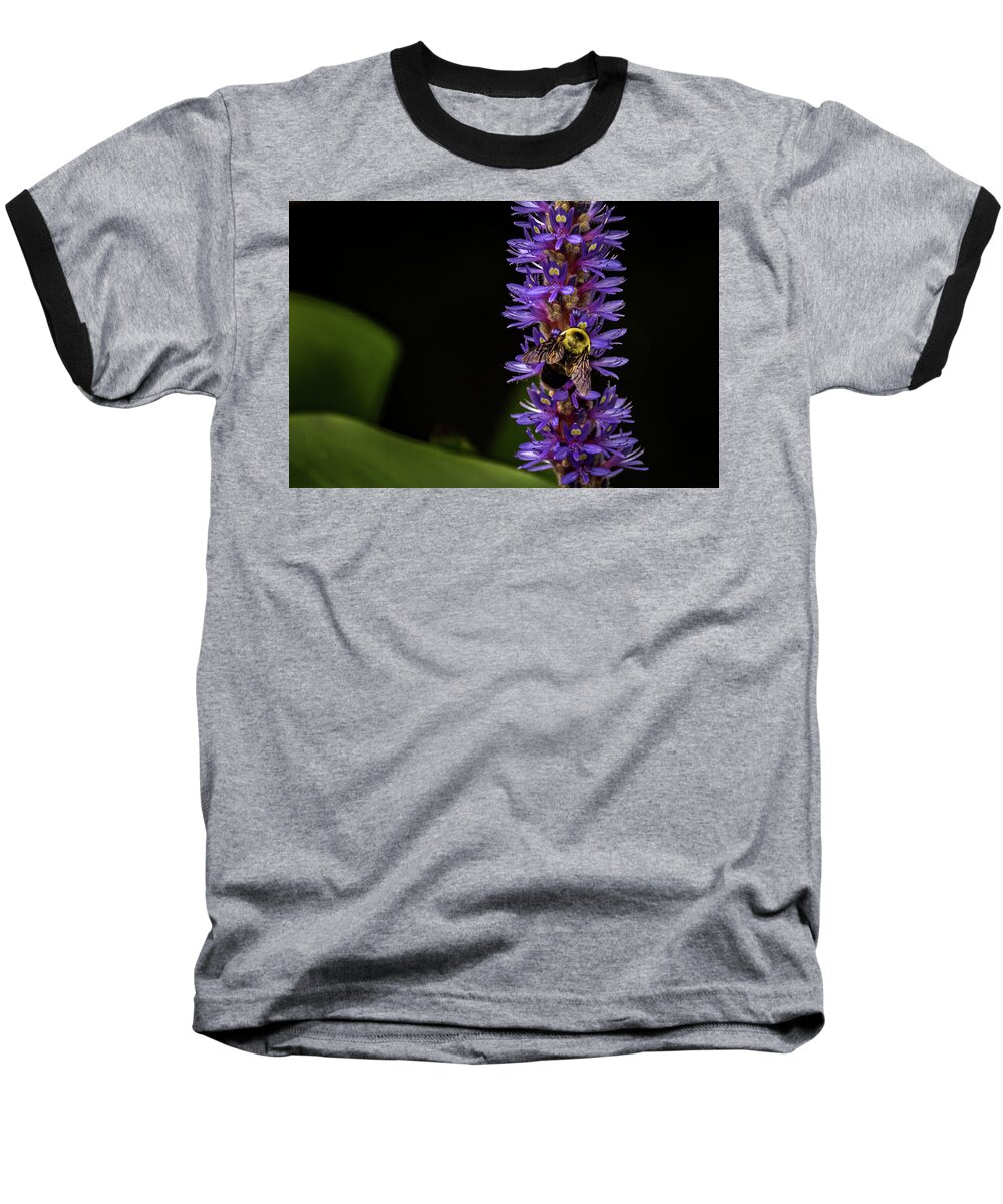 Jay Stockhaus Baseball T-Shirt featuring the photograph Pollen Collector 3 by Jay Stockhaus