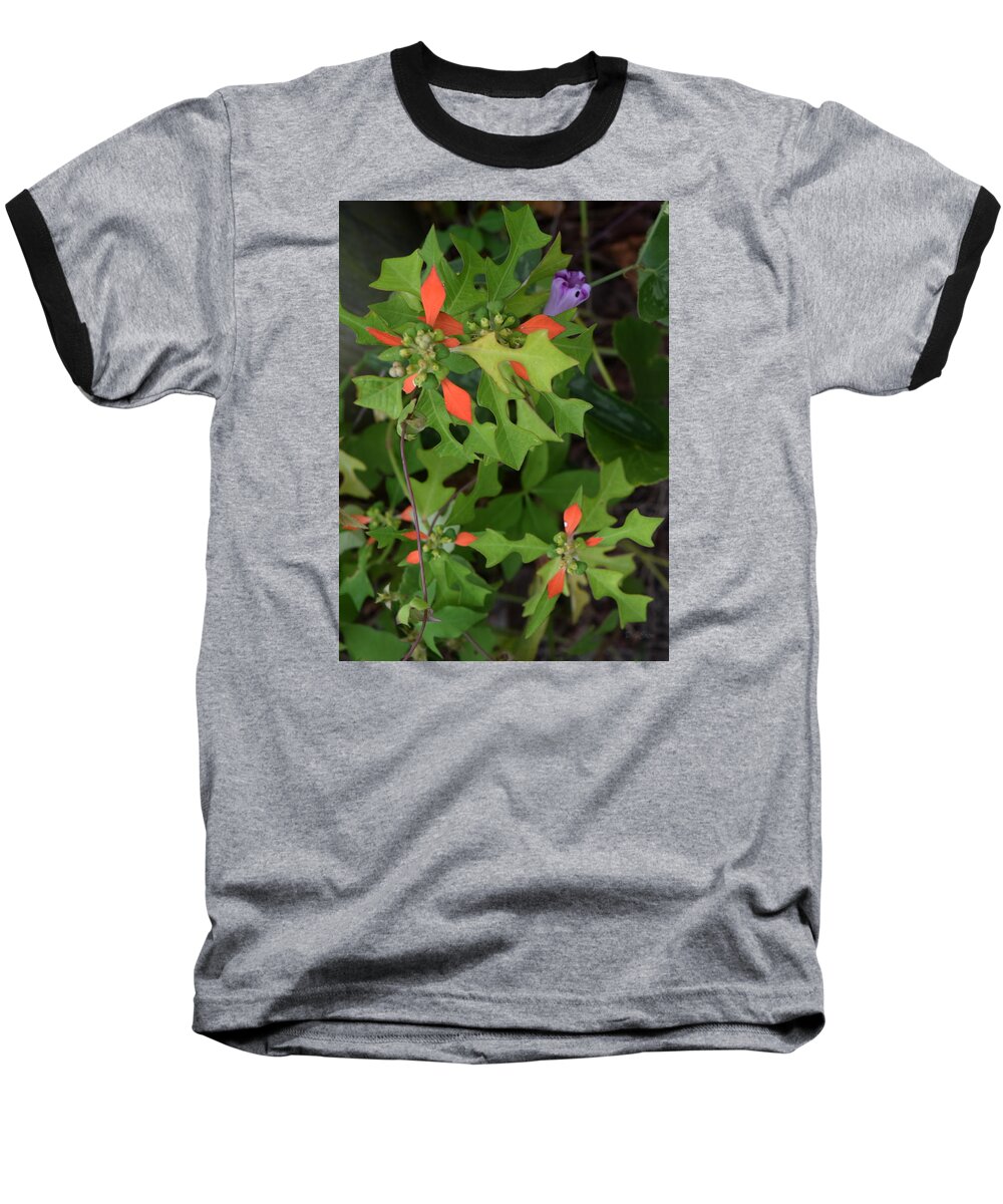 Floral Baseball T-Shirt featuring the photograph Pop of Color by Deborah Crew-Johnson