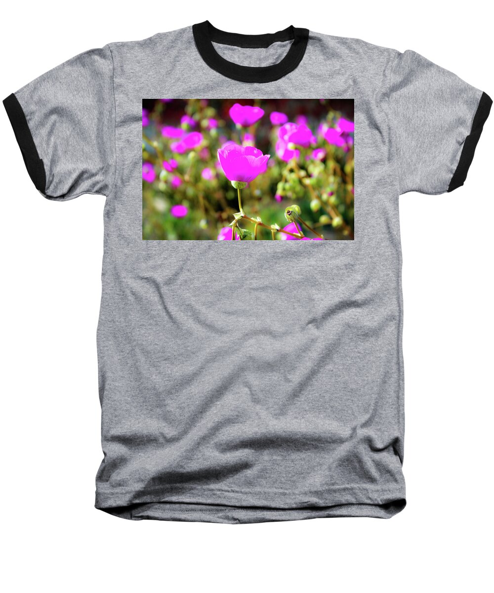 Poppies Baseball T-Shirt featuring the photograph Poppies by Alison Frank