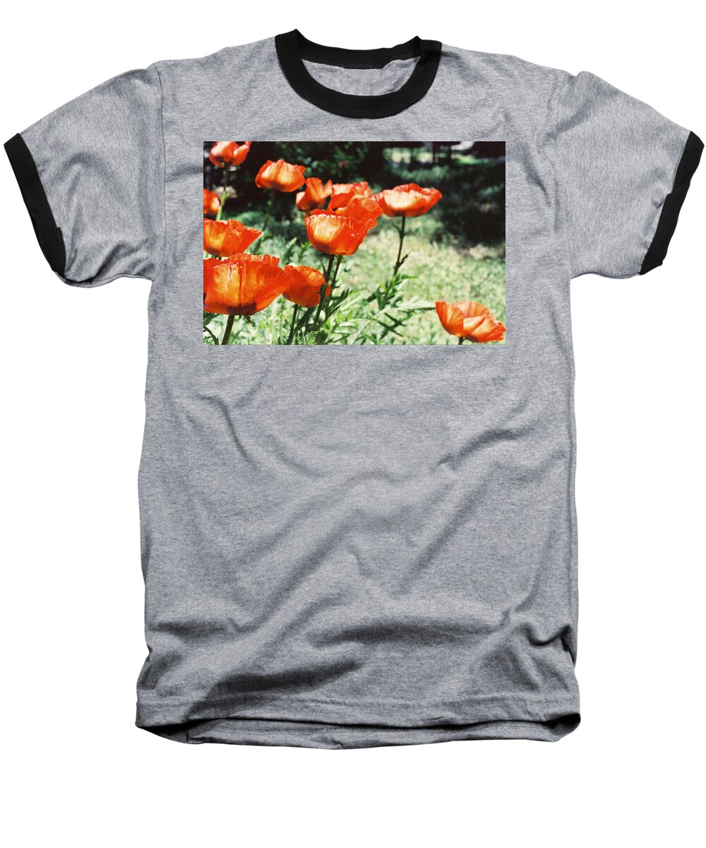 Flowers Baseball T-Shirt featuring the photograph Poppies by Ric Bascobert