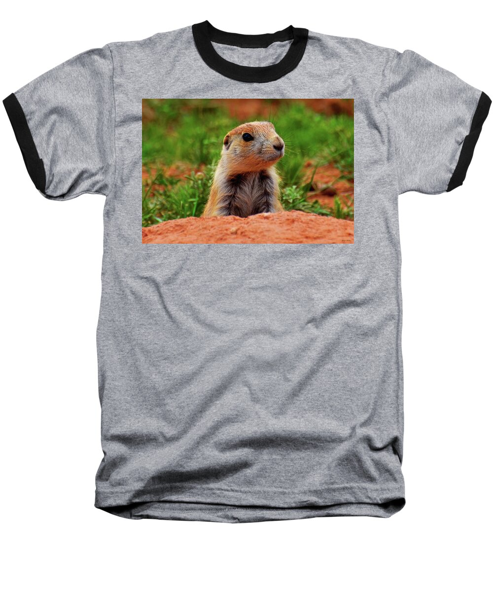 Wildlife Baseball T-Shirt featuring the photograph Prairie Dogs 007 by George Bostian