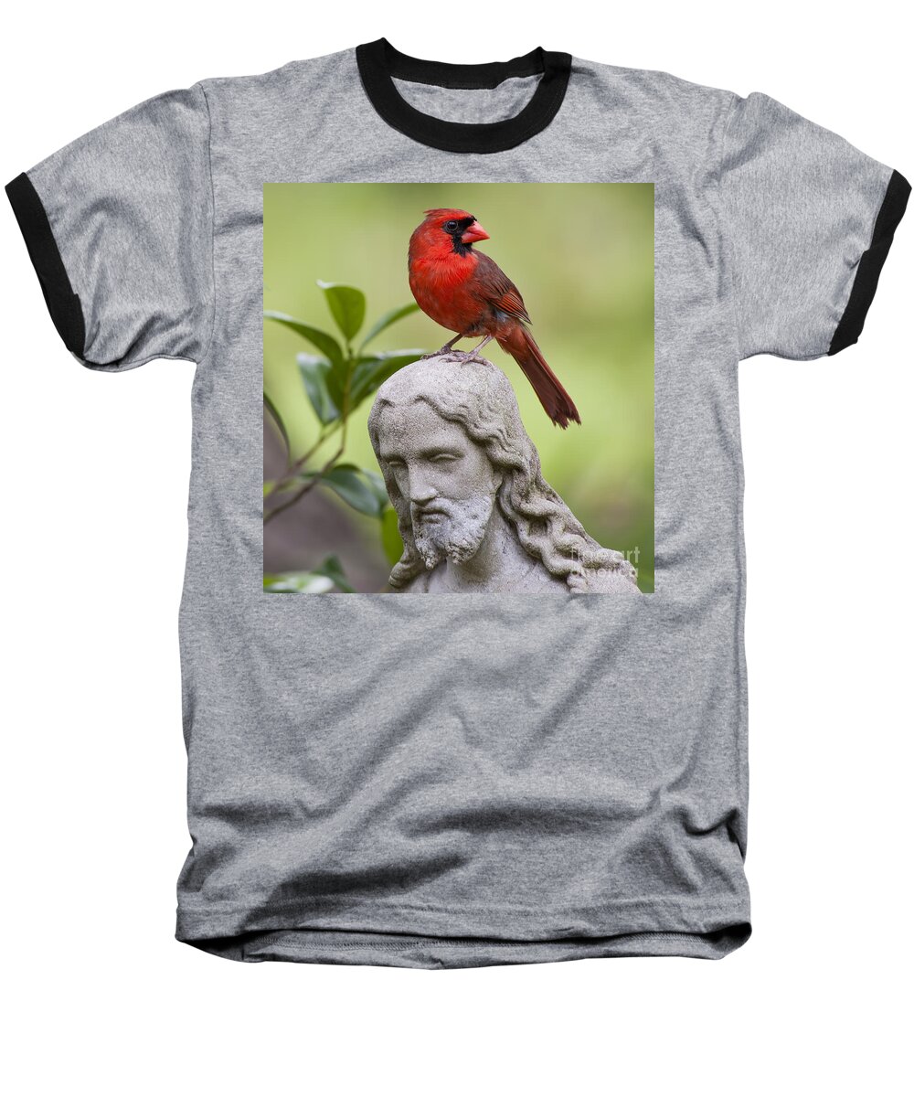Cardinal Baseball T-Shirt featuring the photograph Praise the Lord by Bonnie Barry