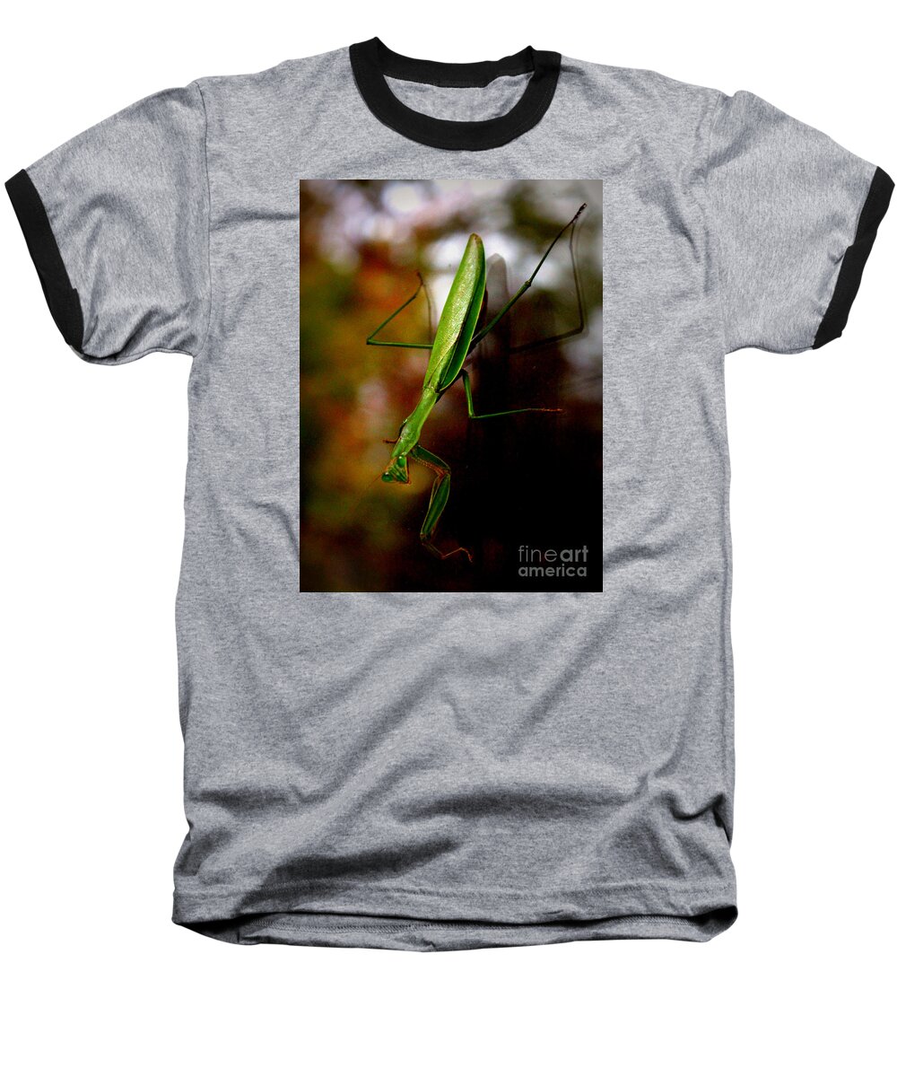 The Word Mantis Comes From The Greek Mantikos Baseball T-Shirt featuring the photograph Praying Mantis by Beth Ferris Sale