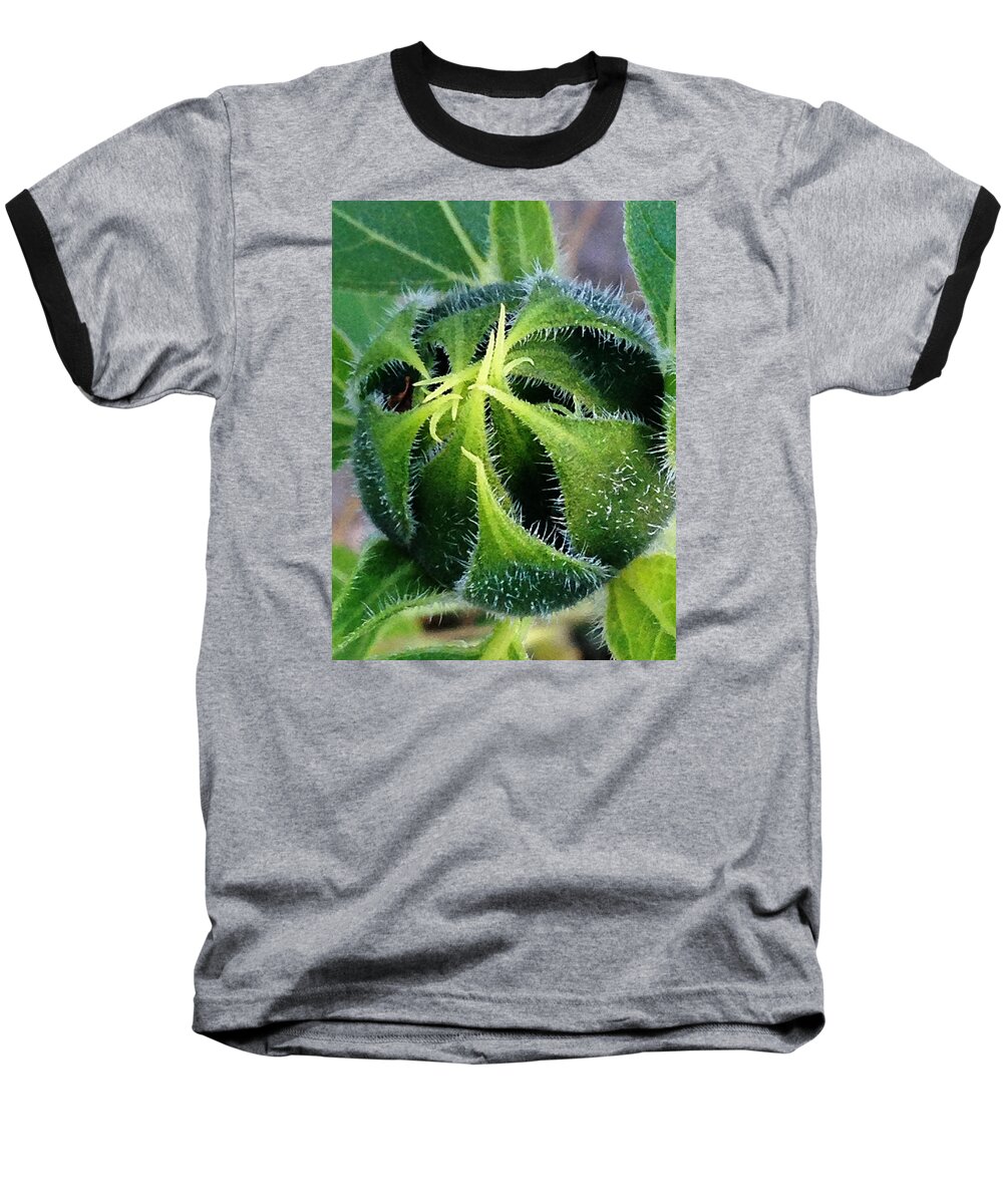 Photography Baseball T-Shirt featuring the digital art Preparing to Bloom by Jeff Iverson