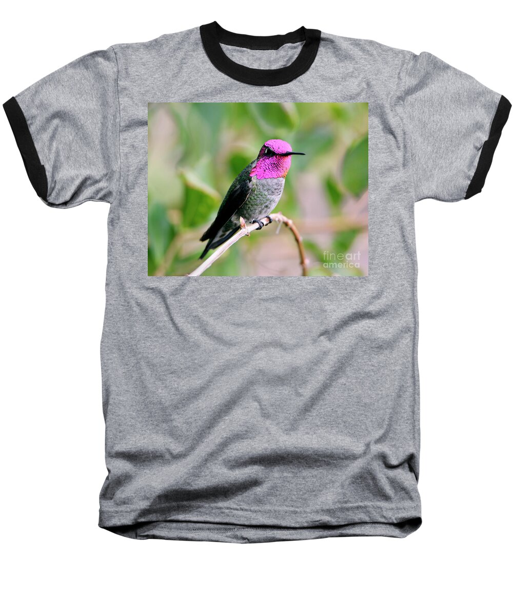 Denise Bruchman Baseball T-Shirt featuring the photograph Pretty in Pink Anna's Hummingbird by Denise Bruchman