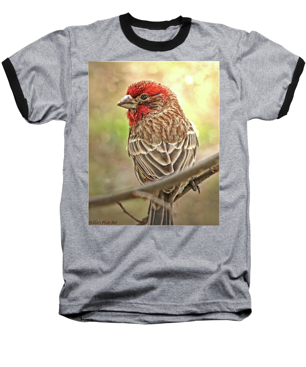 Nature Baseball T-Shirt featuring the photograph Prince by Debbie Portwood