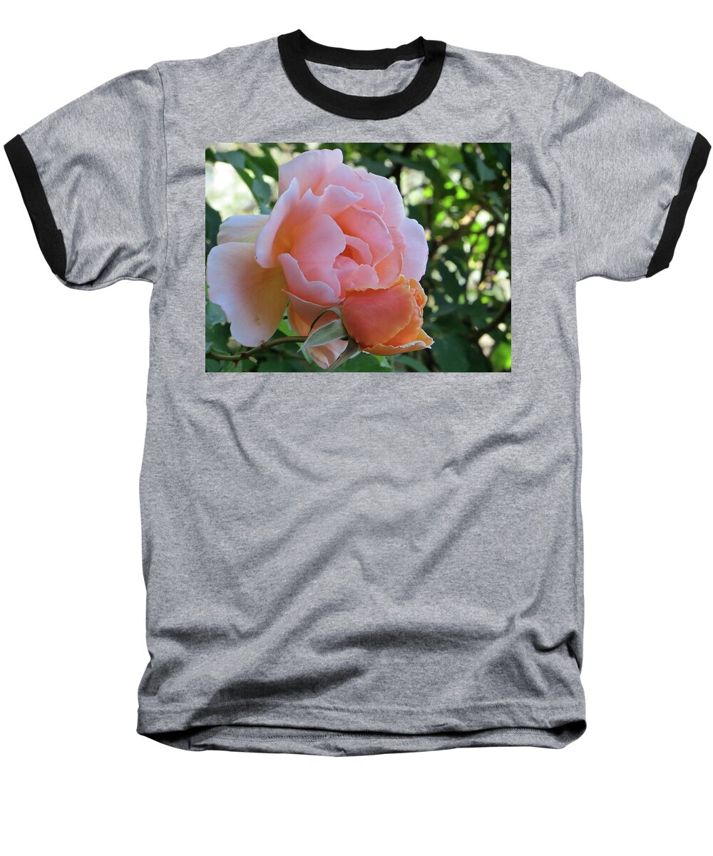 Rose Baseball T-Shirt featuring the photograph Protective Rose by Patricia Haynes