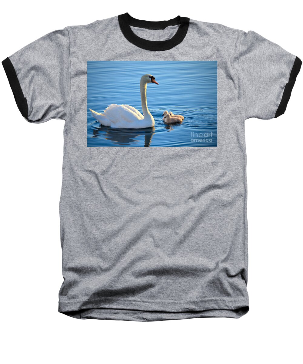 Mute Swan Baseball T-Shirt featuring the photograph Proud Mother by Deb Halloran
