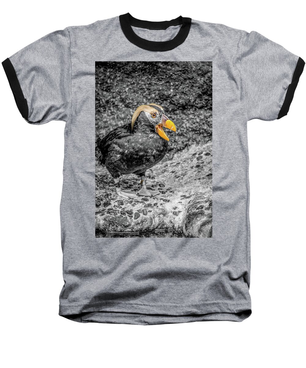 Puffin Baseball T-Shirt featuring the photograph Puffin BW with Splash of Color by Rob Green
