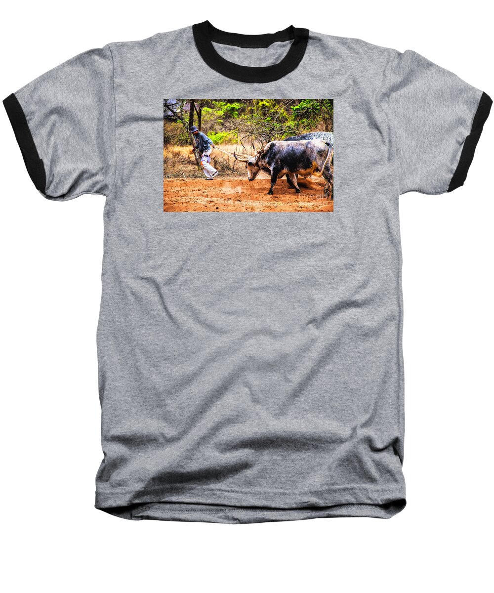 South Africa Baseball T-Shirt featuring the photograph Pulling the Beasts by Rick Bragan