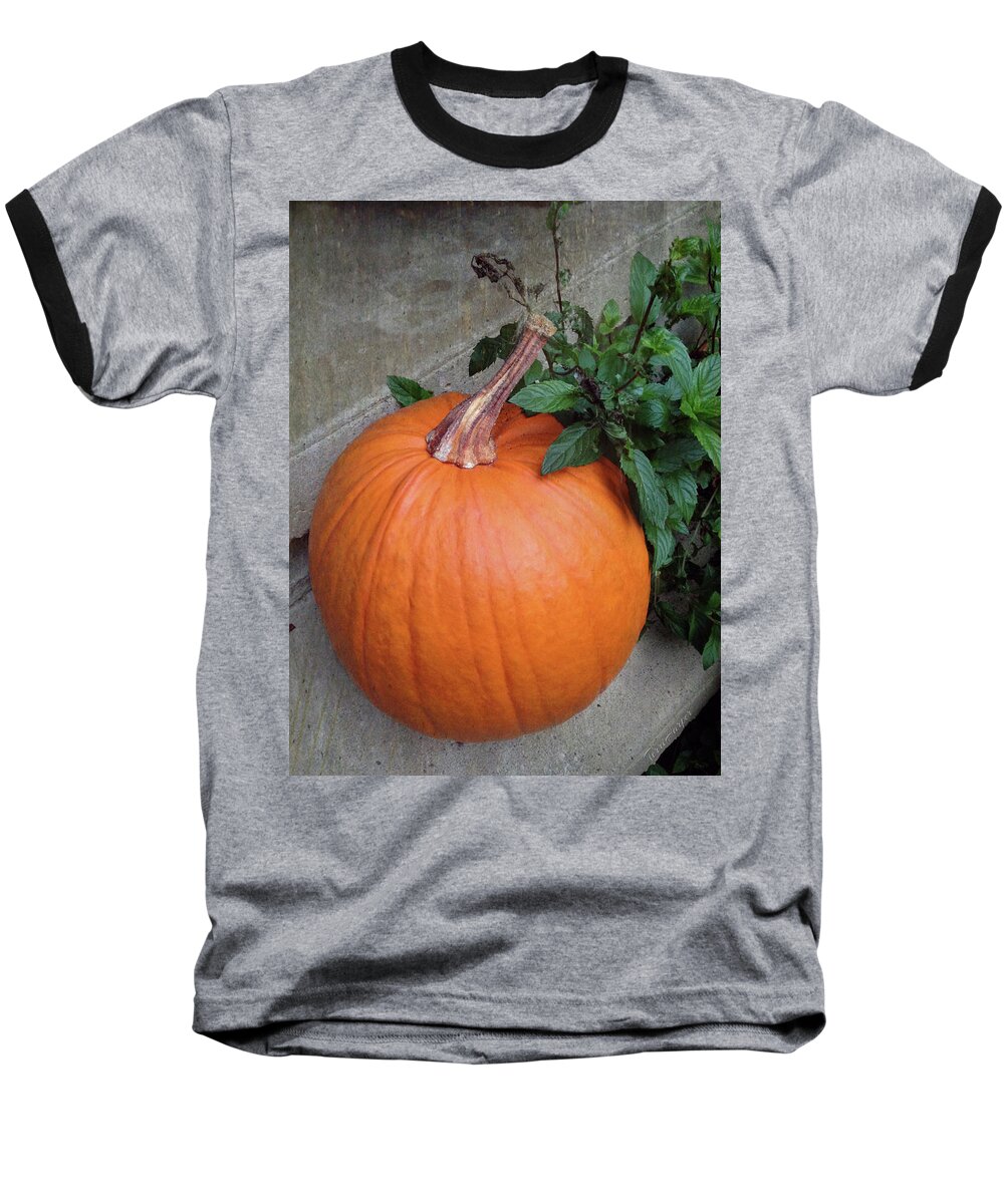 Pumpkin Baseball T-Shirt featuring the photograph Pumpkin by Terri Harper