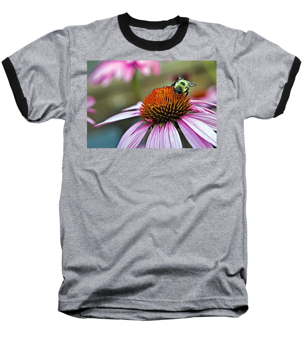 Macro Baseball T-Shirt featuring the photograph Purple Cone Flower and Bee by Al Mueller