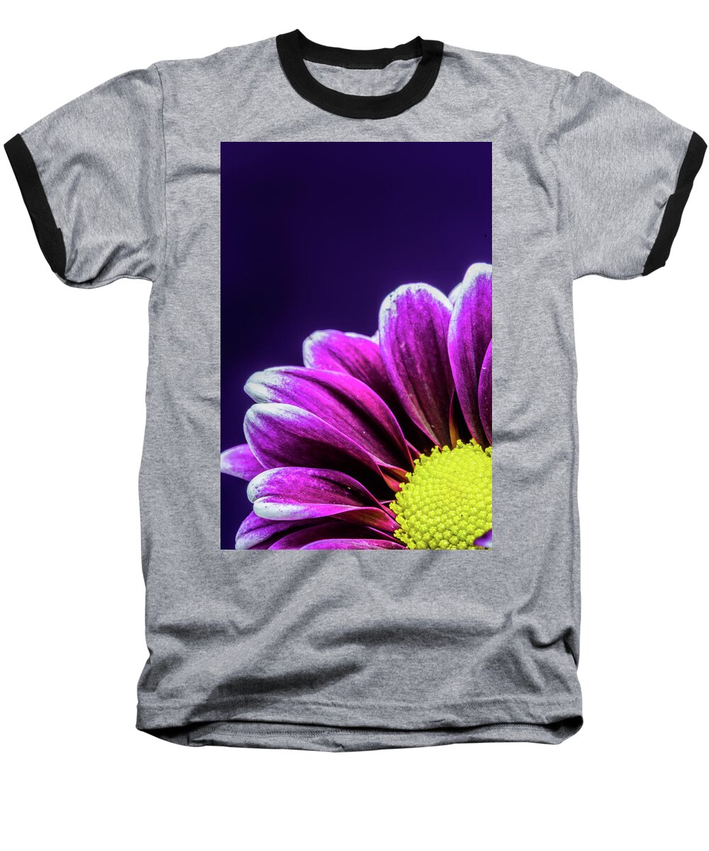 Daisy Baseball T-Shirt featuring the photograph Purple Daisy Being Shy by Tammy Ray