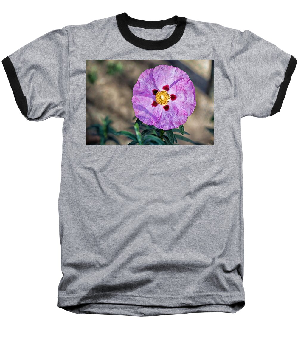 Purple Baseball T-Shirt featuring the photograph Purple Rockrose by Alison Frank