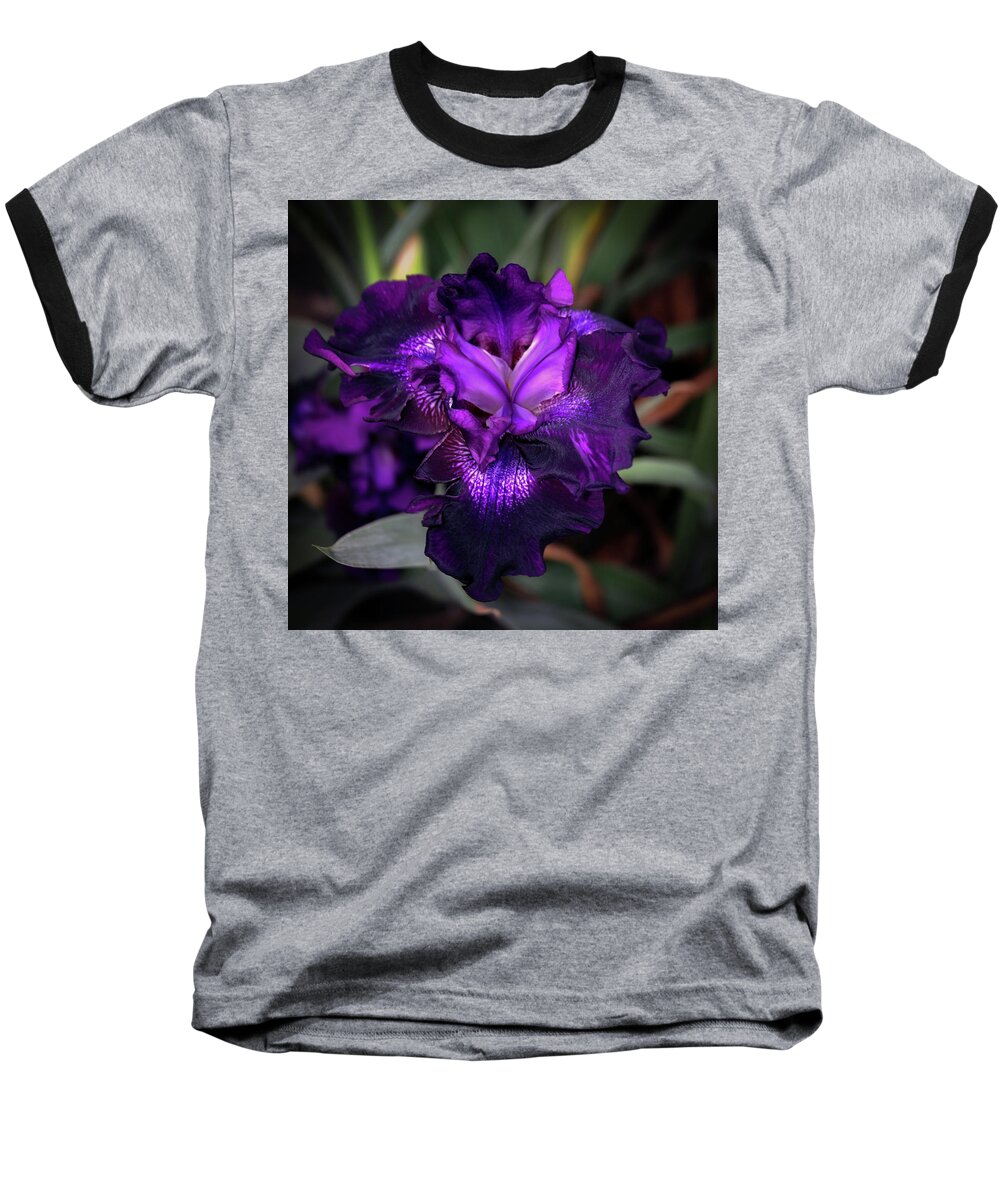 Purple Iris Baseball T-Shirt featuring the photograph Purple Iris 5994 H_2 by Steven Ward