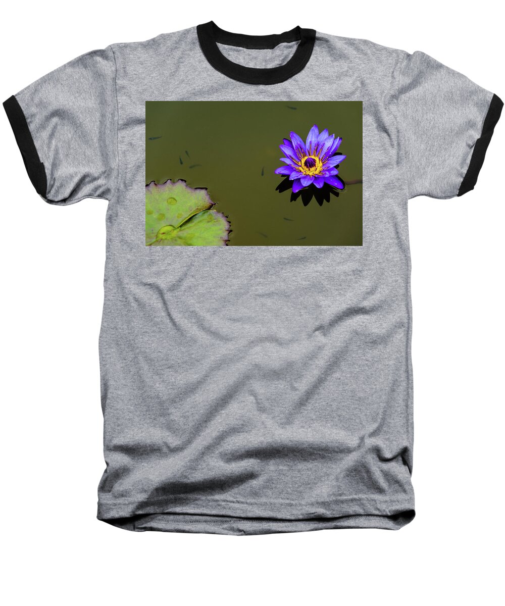 Bloom Baseball T-Shirt featuring the photograph Purple Lily with Tiny Fish by Dennis Dame
