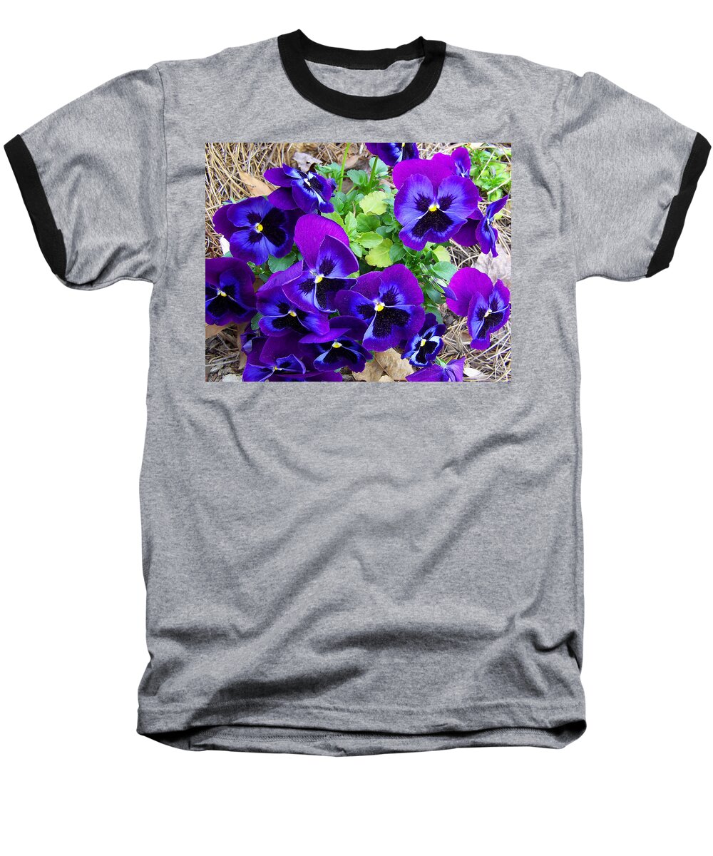 Pansies Baseball T-Shirt featuring the photograph Purple Pansies by Sandi OReilly