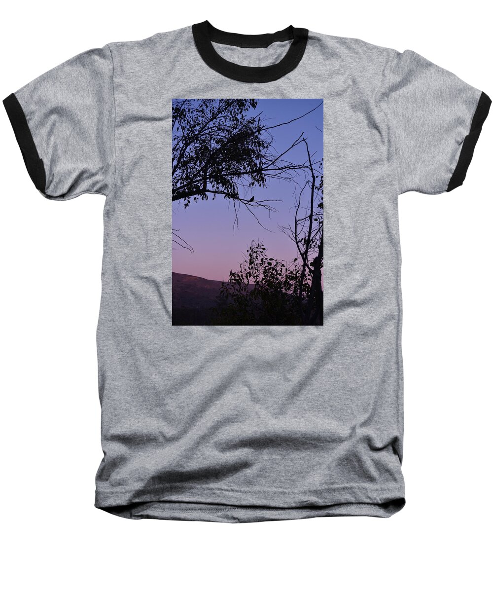 Linda Brody Baseball T-Shirt featuring the photograph Purple Sunset with Tree and Bird Silhouette by Linda Brody