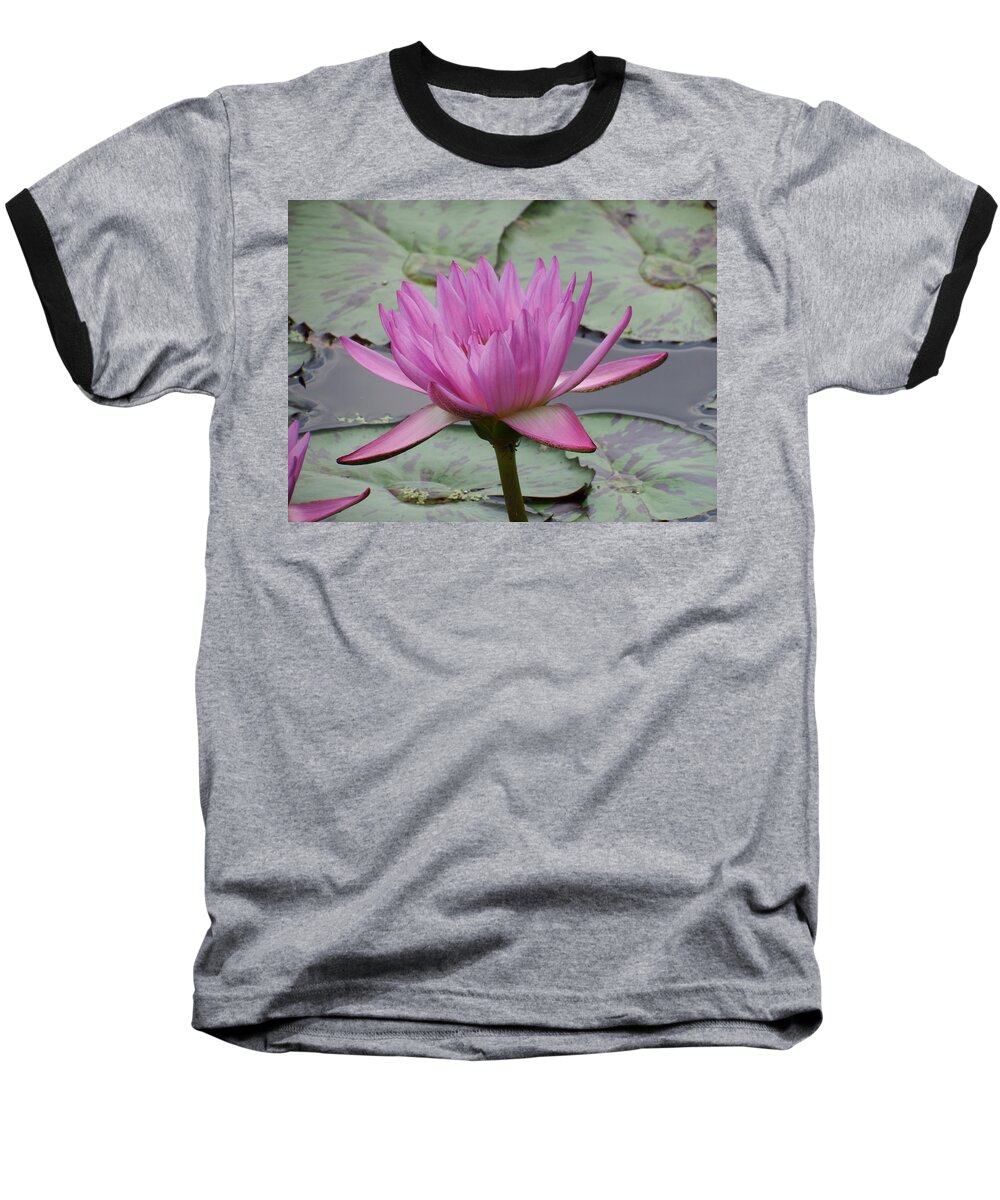 Scoobydrew81 Andrew Rhine Flower Flowers Bloom Blooms Macro Petal Petals Close-up Closeup Nature Botany Botanical Floral Flora Art Color Soft Purple Pink Lilly Water Pond Green Detail Simple Contrast Simple Clean Crisp Spring Round Art Tropical Artistic Baseball T-Shirt featuring the photograph Purple water Lilly by Andrew Rhine