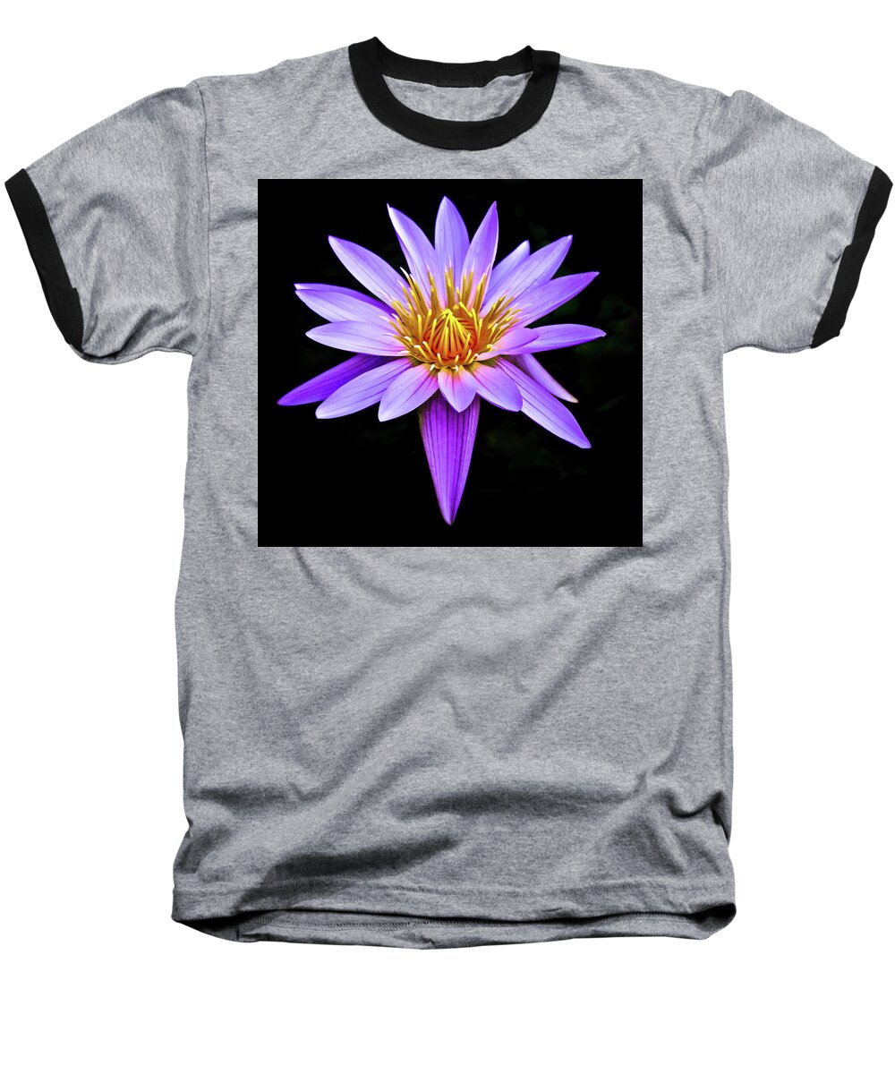 Botanicals Baseball T-Shirt featuring the photograph Purple Waterlily with Golden Heart by Venetia Featherstone-Witty