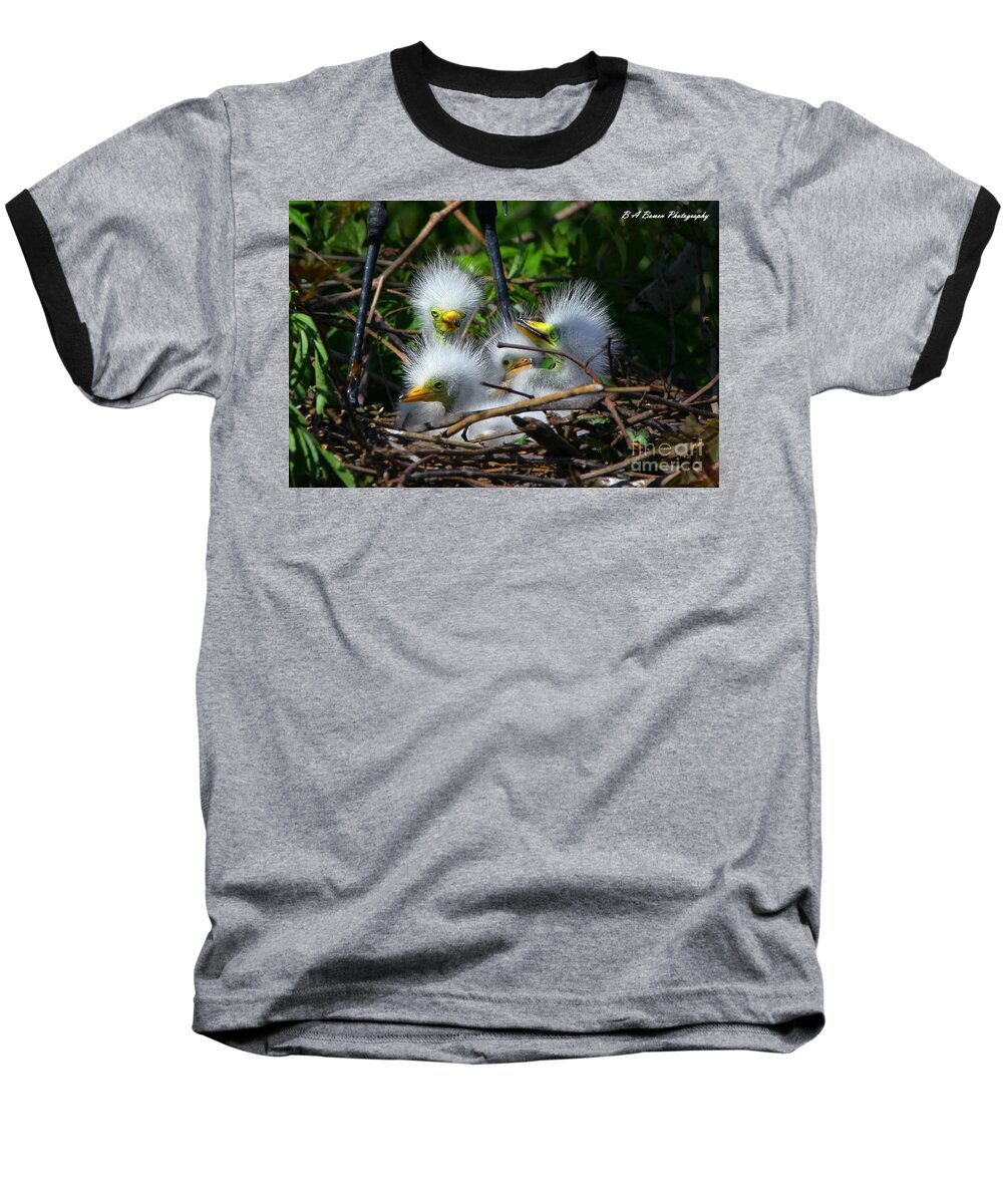 Great White Egret Baseball T-Shirt featuring the photograph Quadruplets by Barbara Bowen