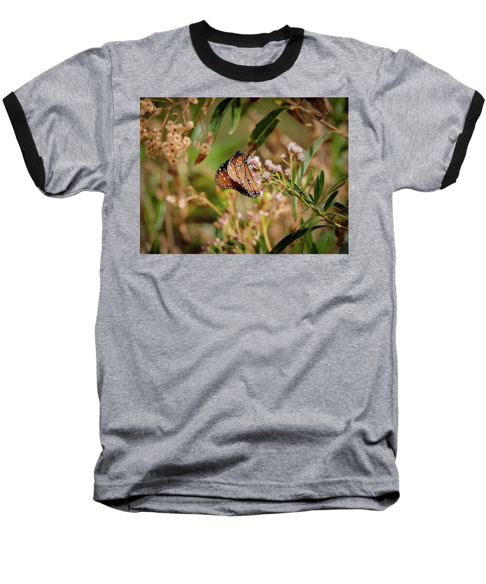 Queen Butterfly Baseball T-Shirt featuring the photograph Queen of the Hassayampa by Gaelyn Olmsted