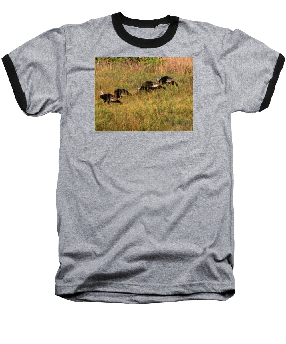 Wild Turkey Baseball T-Shirt featuring the photograph Quick Hide it's Thanksgiving by Wild Thing