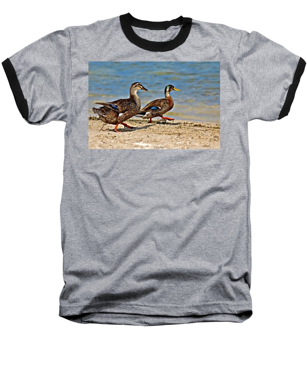 Ducks Baseball T-Shirt featuring the photograph Race You To The Water by Carolyn Marshall