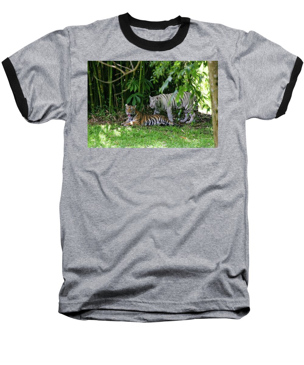 Hawaii Baseball T-Shirt featuring the photograph Rain Forest Tigers by Anthony Jones