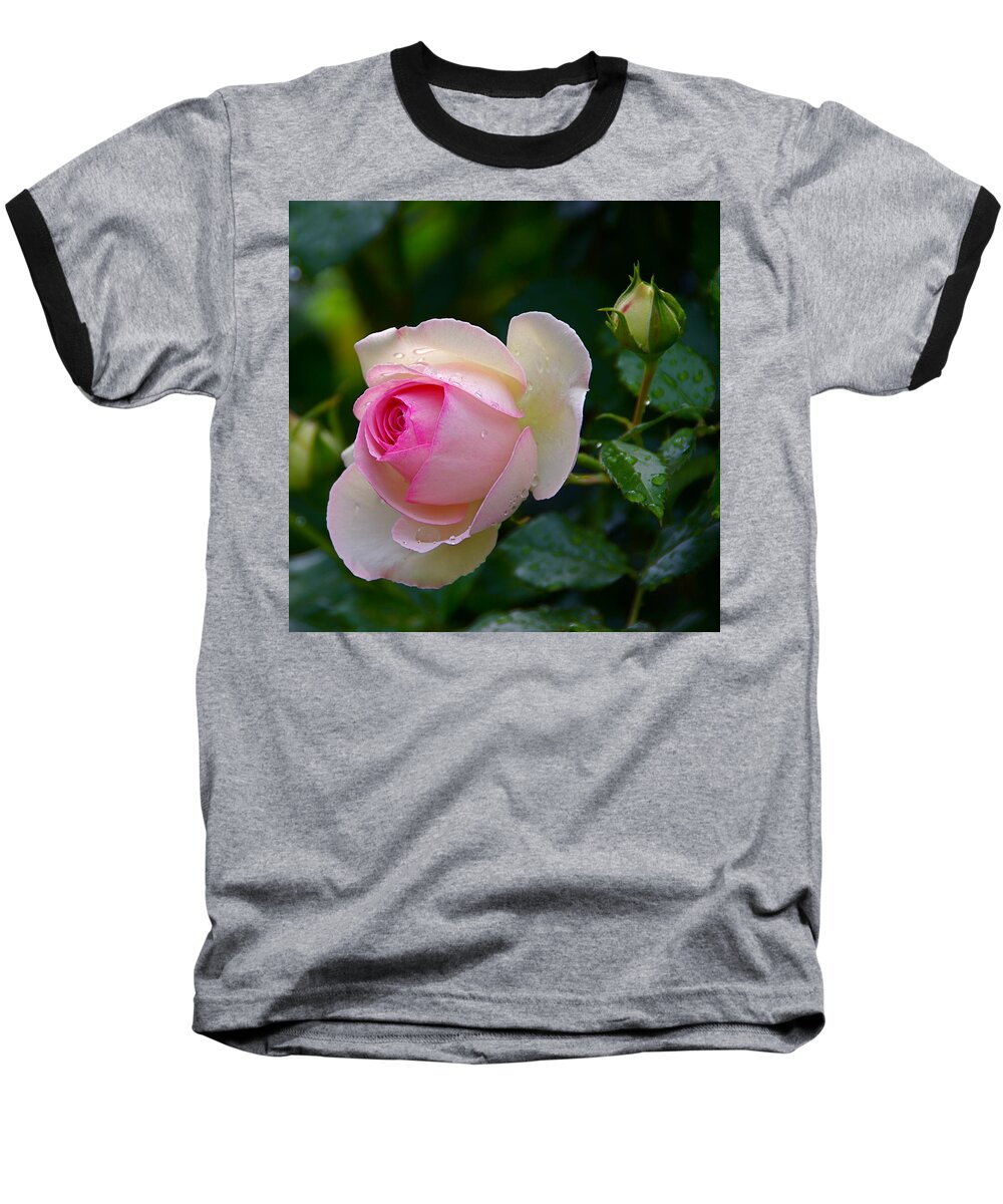 Rose Baseball T-Shirt featuring the photograph Rain-Kissed Rose by Byron Varvarigos