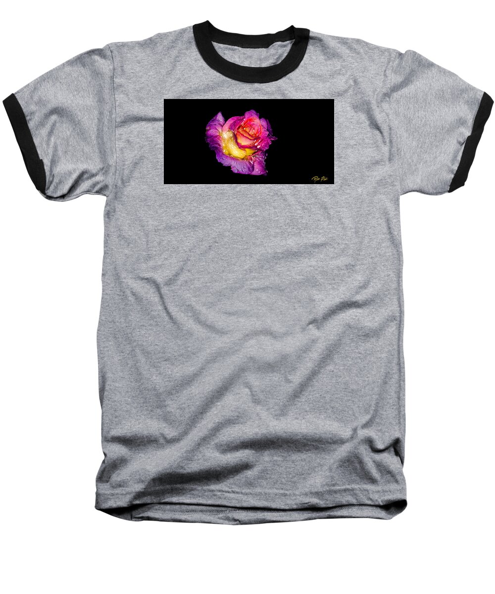 Plants Baseball T-Shirt featuring the photograph Rain-melted Rose by Rikk Flohr