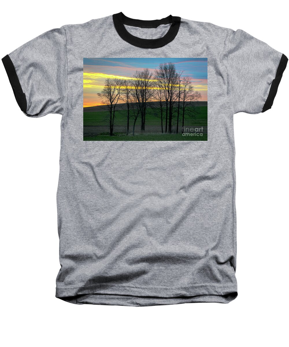 Sunrise Baseball T-Shirt featuring the photograph Rainbow Color Tree Horizon by Joann Long