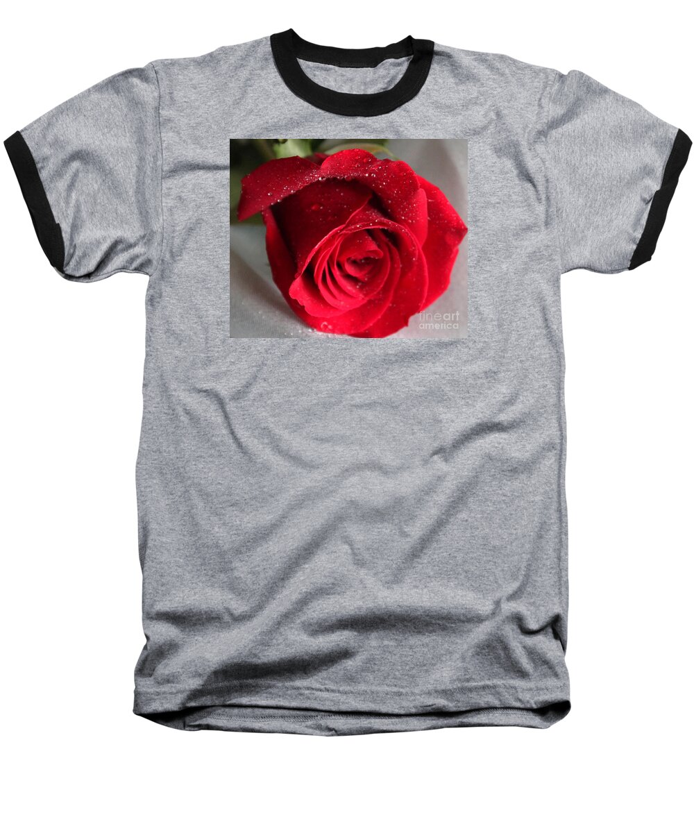 Raindrops On Roses Baseball T-Shirt featuring the painting Raindrops on Roses by Rita Brown