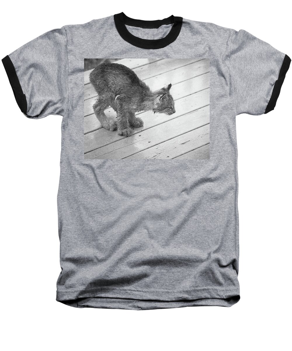 Lynx Baseball T-Shirt featuring the photograph Crouching Kitty by Tim Newton