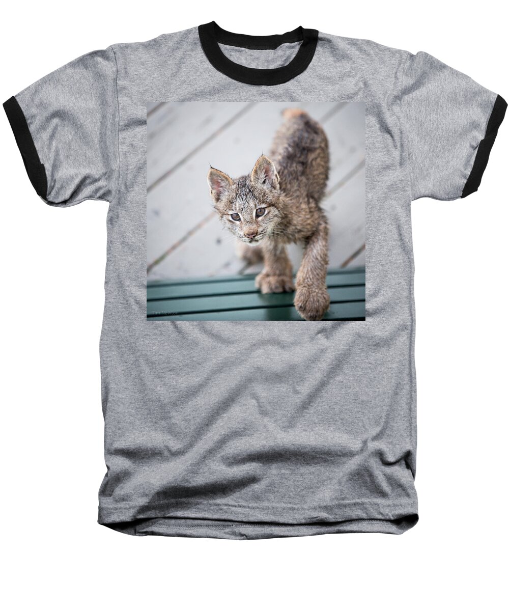 Lynx Baseball T-Shirt featuring the photograph Does click mean edible by Tim Newton