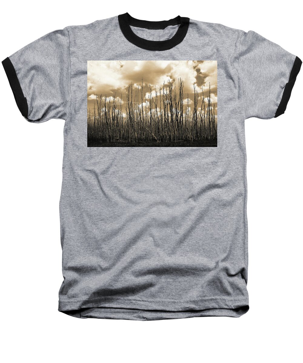Everglades Baseball T-Shirt featuring the photograph Reaching To the Sky by Gary Dean Mercer Clark