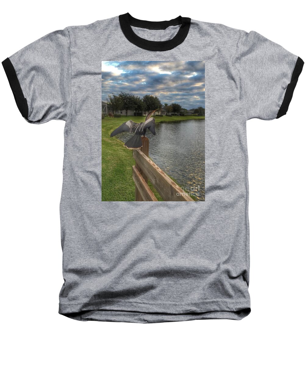 Anhinga Baseball T-Shirt featuring the photograph Anhinga Ready to Fly by Anne Sands
