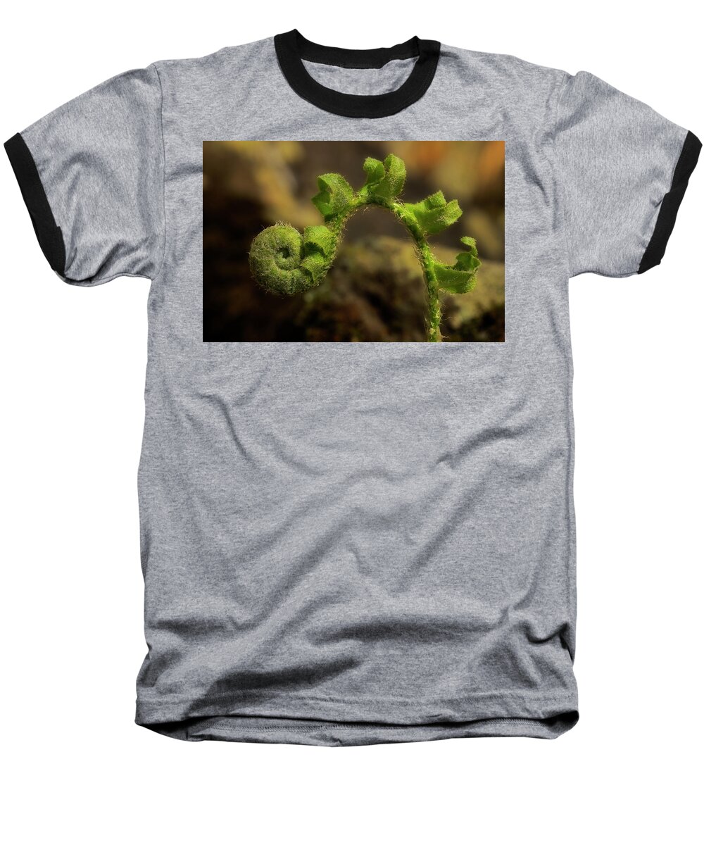 Fern Baseball T-Shirt featuring the photograph Rebirth by Mike Eingle