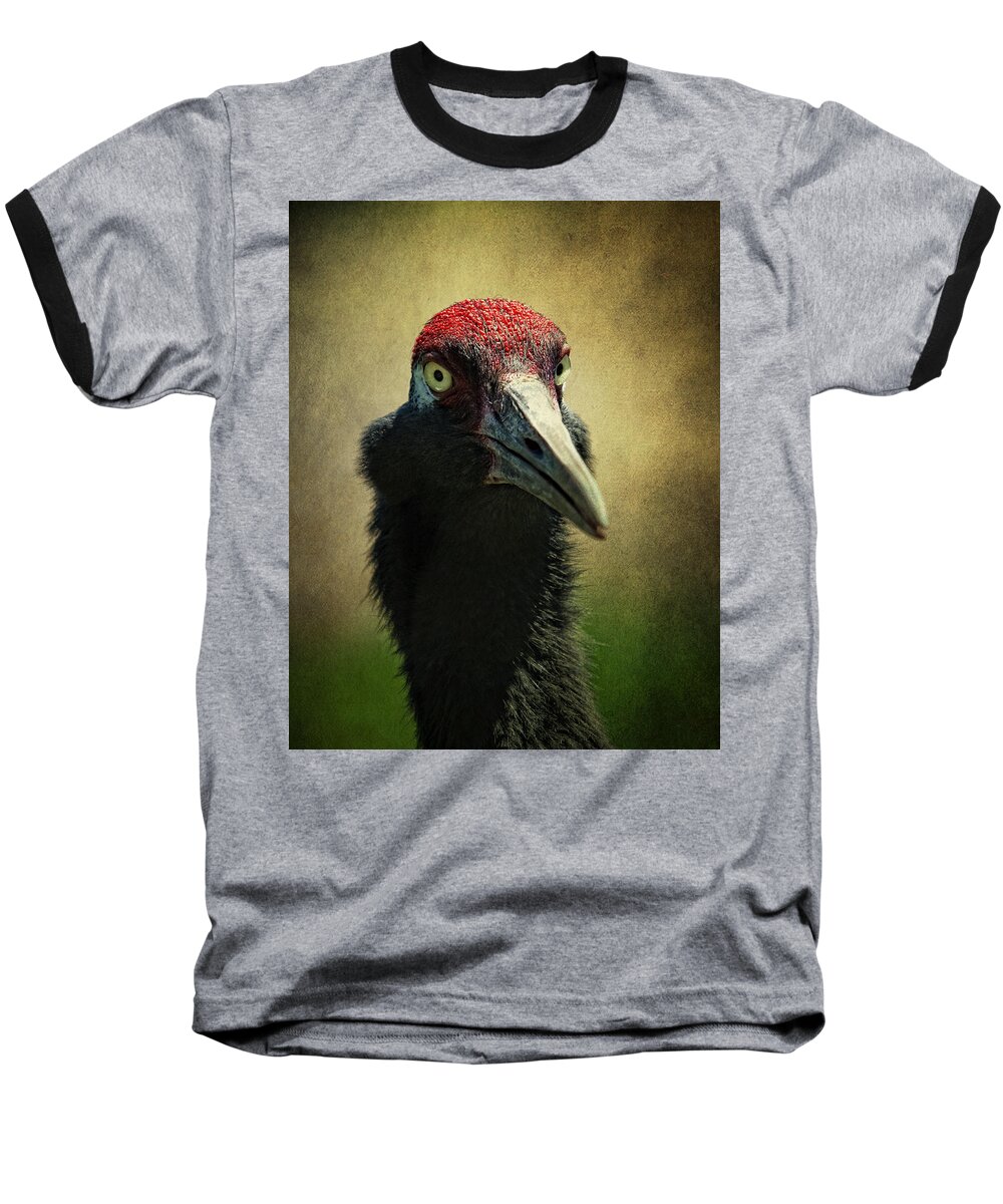 Red - Crowned Crane Baseball T-Shirt featuring the photograph Red - Crowned Crane 1 by Al Mueller